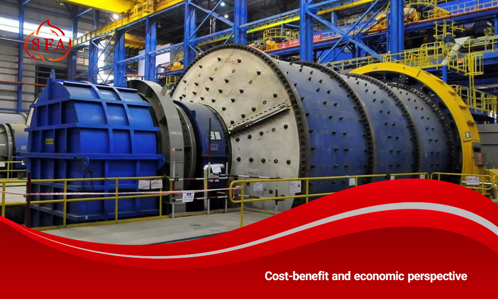 Cost-benefit and economic perspective